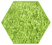 ���^�YԴ�W