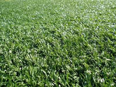 ���^�YԴ�W