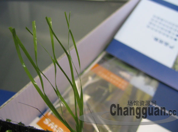 ���^�YԴ�W