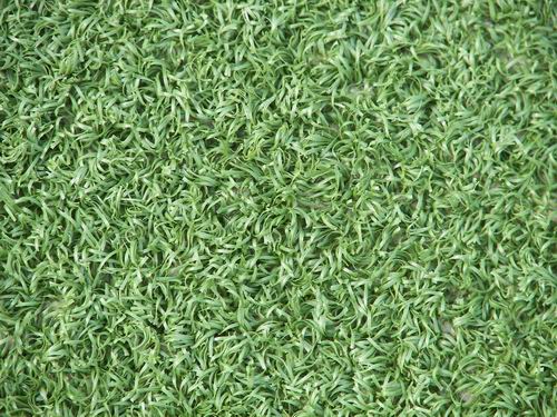 ���^�YԴ�W