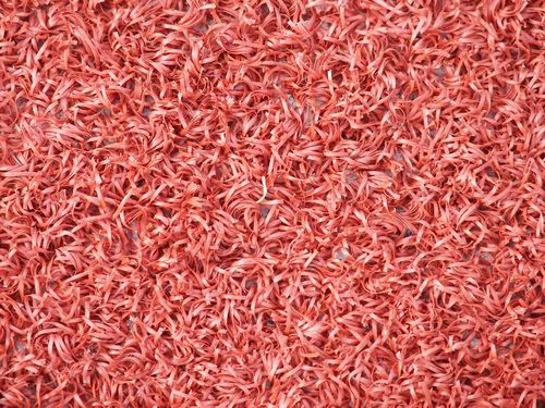 ���^�YԴ�W