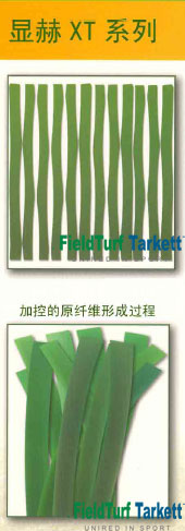 ���^�YԴ�W