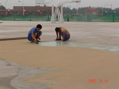 ���^�YԴ�W