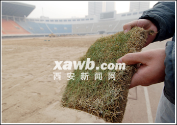 ���^�YԴ�W