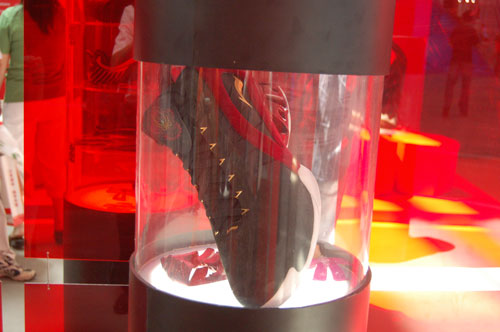 ���^�YԴ�W