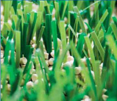 ��(ch��ng)�^�YԴ�W(w��ng)