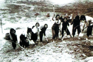 ���^�YԴ�W