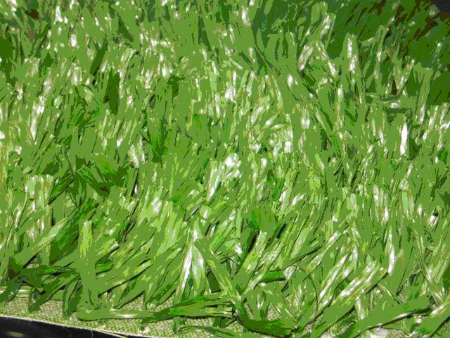 ���^�YԴ�W