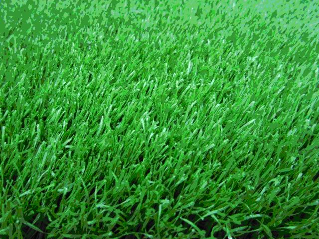 ���^�YԴ�W