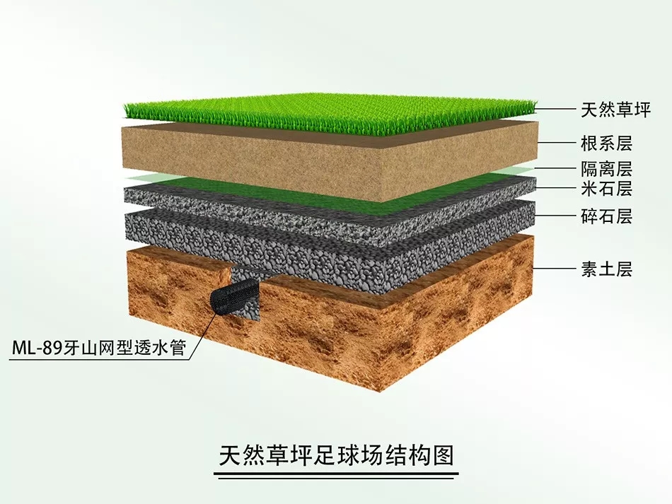 ���^�YԴ�W