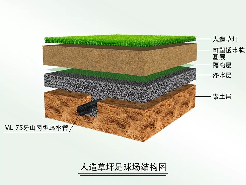 1571303253529032.jpg 1571303253529032.jpg