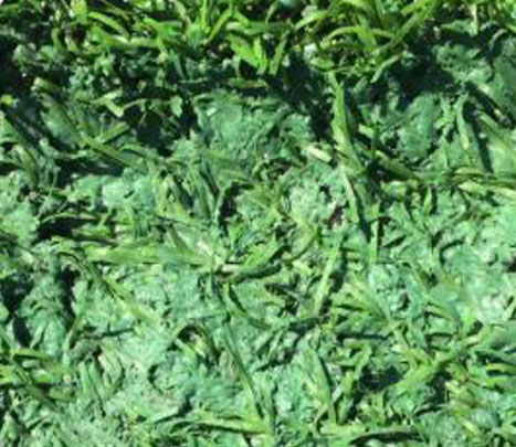 ���^�YԴ�W