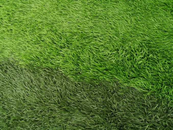 ���^�YԴ�W